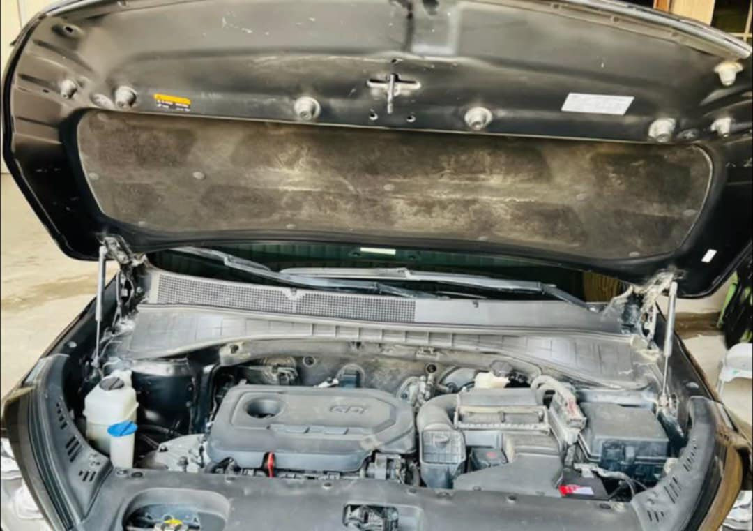 السلام عليكم للبيع او المراوس
كيا سورينتو 
الحادث (( من امريكا السياره جانت بغابات محتركه ولايحه نار ومايعه الدعاميه الاماميه والبلاستك و بالعراق بيه تبديل قطعتين 
بيه صبغ مكانات + بيه بعض الجراد))
ملاحظة // صور الحادث مرفقه مع المنشور .. مع رقم الشاصي...
///////////////////////////////////////////////////////////////////

✨نوع السياره : سورينتو ..
✨ سنه الصنع : 2016 
✨ حجم المحرك : 2.4 ..
✨نوع المحرك : GDI ..
✨نمر السرعات : 8 نمر 
✨عدد الركاب : 7 راكب ....
✨عدد قطع التبريد : 2 قطعه ..
✨حجم الويل : 18 ويل كروم ..
✨لد امامي لد خلفي ..
✨يدأت نيكل ...
✨ 4 في 4 4WD دفع رباعي ..
✨اشاير بالمري..
✨4 وضعيات قياده (( ايكو - سبورت -درايف مود -عادي )).
✨ فول تحكم ستيرن ..
✨اللون : اسود ..  ..
✨تبريد ثلج ..
✨كير (( عادي - اتوماتيك )..
✨كشنات لونين ..
✨شاشه بلوتوث ..
✨تخم تاير جديد ..
✨ اطفاء المحرك عند الازدحام ((AUTO HOID))..
✨ مانع تزحلق..
ملاحظة / محرك السيارهGDI بس لا دوانز ولا تبخير ولا تنقيص
-------------------------------------------------------------..----------------
السياره مال بيت نضيفه ..
مكان السياره : حله شارع 60 خلف مول حمورابي ..
للاستفسار : ***********.…..
السعر : خاص 
ملاحظة / السياره للبيع او المراوس .. حسب القناعه
