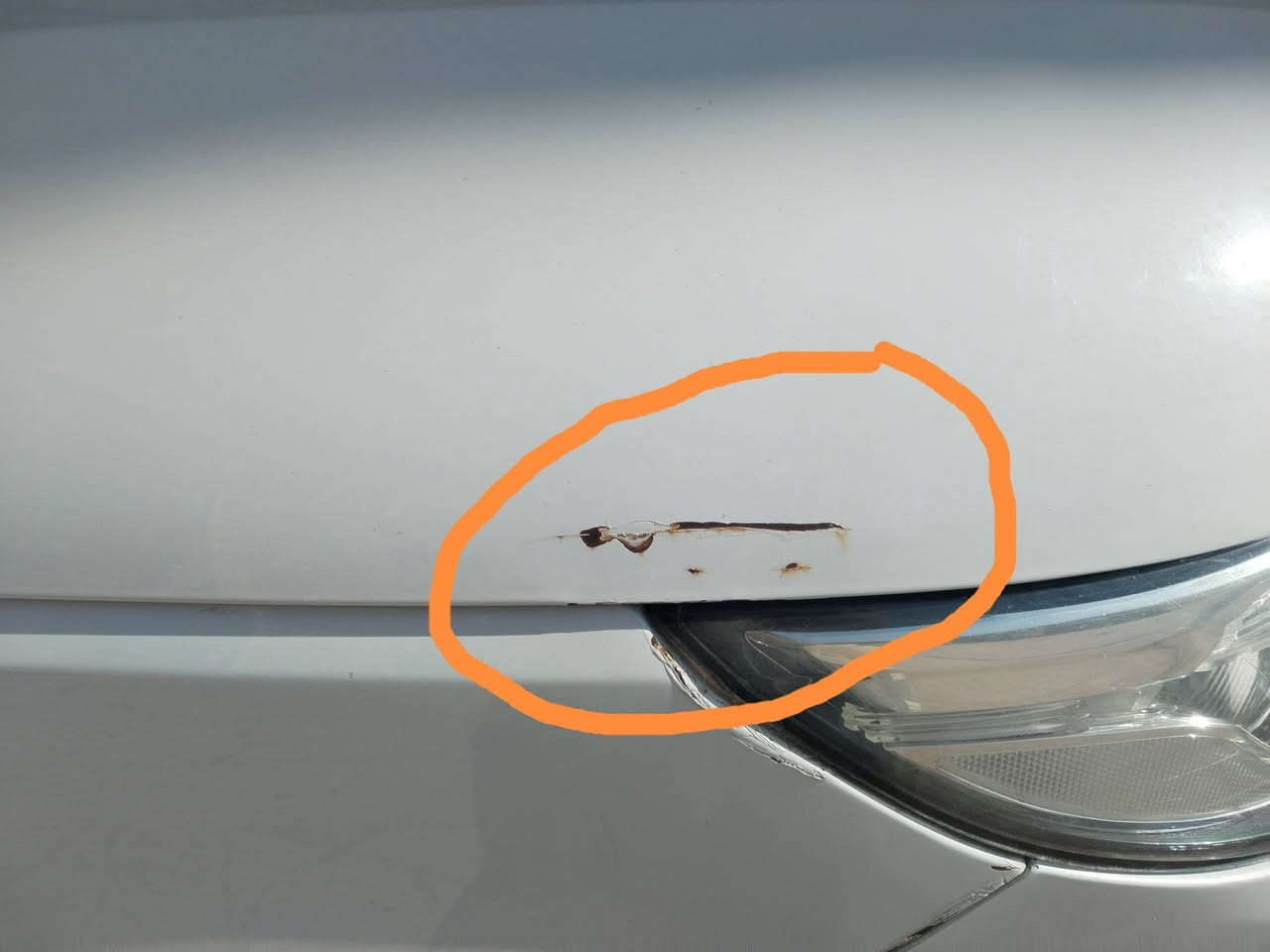 سورنتو خليجي 2015 رقم قادسية موجودة بكربلاء 6سلندر 7راكب كير ومحرك خير من الله مكفولة من الصبغ والتبديل بس بارد بالجاملغ الايمن مقدار شبر بصمة مري شفط اشاير بالمري حساسات امامي وخلفي كاميرا وشاشة بلادي كشنات جلد للاتصال ***********
