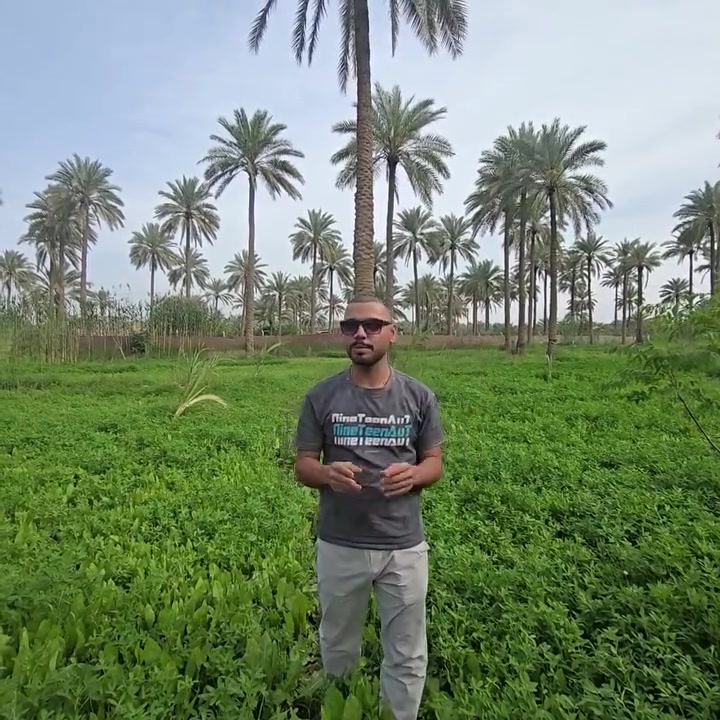 يا الله اللهم صل على محمد وال محمد بسم الله الرحمن الرحيم اربع دوالي موصل موقع كربلاء المقدسه البرج الثانيه يبعد عن الامام 22 كيلو بطويريج خدمات المنطقه ماء ومجال وكهرباء ومي حلو جاري يمك تحويل مباشره باسمك يتكون البستان من 100 نفره حماله وكامله ومزروع رقم الهاتف وهو واتساب ايوب الطائي او مراوس بتجاري بكربلاء خليه على الواتساب
***********📞📞
سعر الدولم الواحد 85 مليون💵
