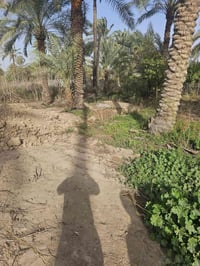 قطعة ارض للبيع  المساحة 182 متر مربع  الواجهة 10,25 والنزال 17,70 داخل...