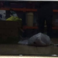 بلازما • ٤٣بوصة • سونيك