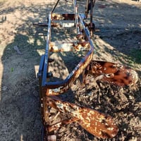 فدان يمنر • شركة بلادي • بغداد