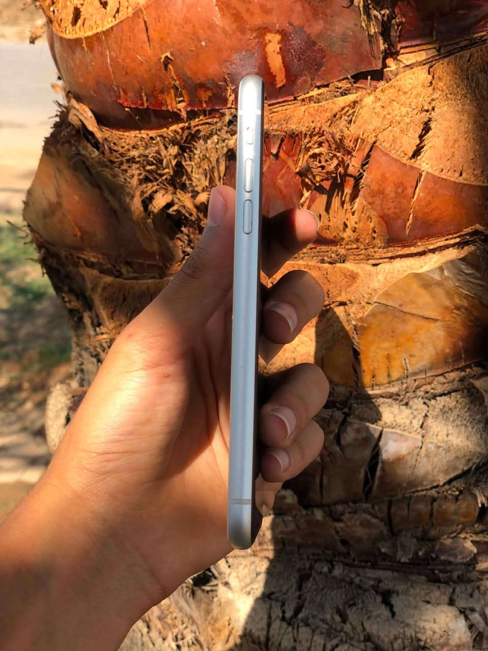 للبيع iPhone11 
بلادي 
ذاكرة 128
بطارية 76
فيس إيدن شغال 
نضافة 100/100
كلشي شغال 100/100
تأخذة وتفحص عل حاسبة 
سعر مناسب 250فقط 
عنواني تكريت -البوعجيل


**إذا كنت صاحب هذا الإعلان وتريد حذفه لأي سبب، رجاءا أرسل رسالة إلى الدعم الفني**