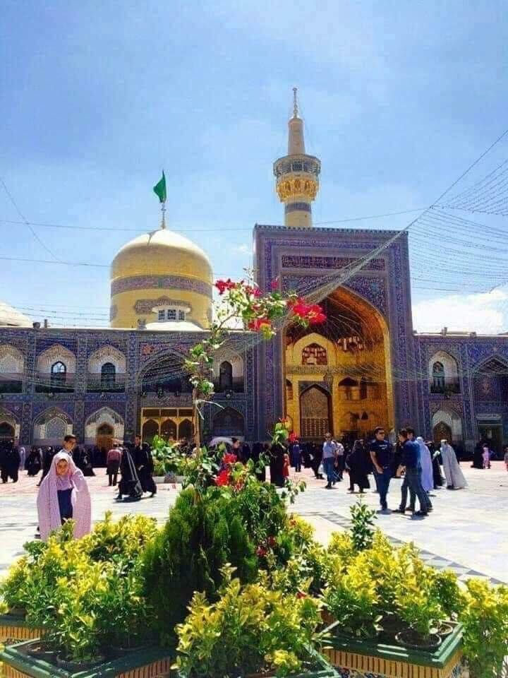 ✈️تعلن شركة الموسوعة للسفر والسياحة

كما عودتكم شركتنا (( الموسوعة للسفر والسياحة ))  برنامج المميزة 
ذهاب واياب بري نعود لكم ليكون

الموسم الصيفي معنا ومعكم احلى واحلى ان شاء الله 
يكون كروبنا تاريخ رحله 2026/6/12

الى زيارة انيس النفوس علي ابن موسى الرضا والسيدة معصومة 

وكافة المزارات 
ديني سياحي
مدة السفرة (14يوم  ) 🥰🥰🥰🥰

مع وجبة افطار في قم 🍳🍳🍳🍳

مع وجبة افطار في شمال ايران 🍳🍳🍳🍳
2 وجبات في مشهد 

السعر 290 الف دينار عراقي🚌🚌🚌🚌🚌

للاستفسار والتواصل معنا اتصل بالارقام التالية 
*********** واتساب 📶
*********** واتساب 📶
*********** واتساب📲
او زيارة موقع الشركة مول الفردوس طابق الأرضي رقم المحل 16B
