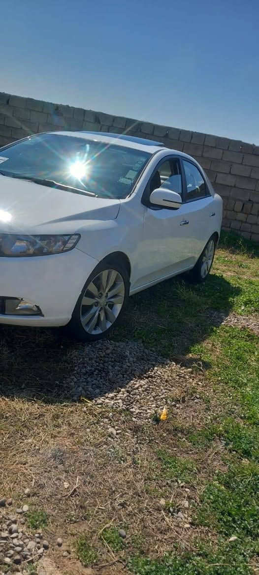 كيا سيراتو موديل 2012
كير ومحرك شرط رقم سليمانيه رقم هزه سنويه جديده السياره بدون صبغ سلايت بصمه  

تحكمات ستيرن تبريد لمس شفتات شاشه كبيره امري شفط 

اشاير بلمري السعر١١٢ بيهامجال مكان السياره قياره الاستفسار على هذا الرقم *********** مكلف بل نشر
