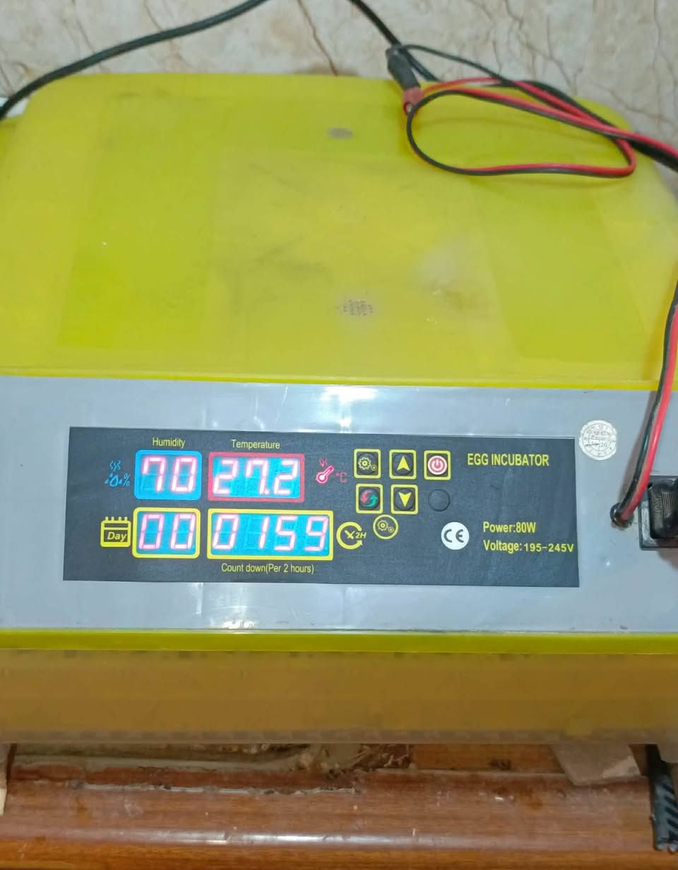 السلام عليكم متوفر فقس نوع اصليه امريكي نسبته النتاج 90 %  56 بيض تخذه سعر 80 للتوصل ***********
