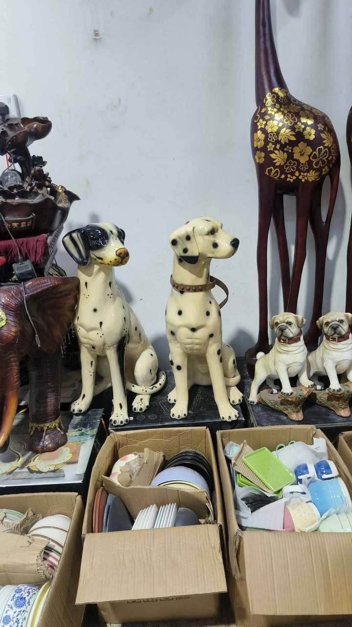 سلام عليكم  
تحفيات جدد 
توصيل مجاني 
يدخل خاص 
الشراي او ينتصل *********** بغداد, العراق
