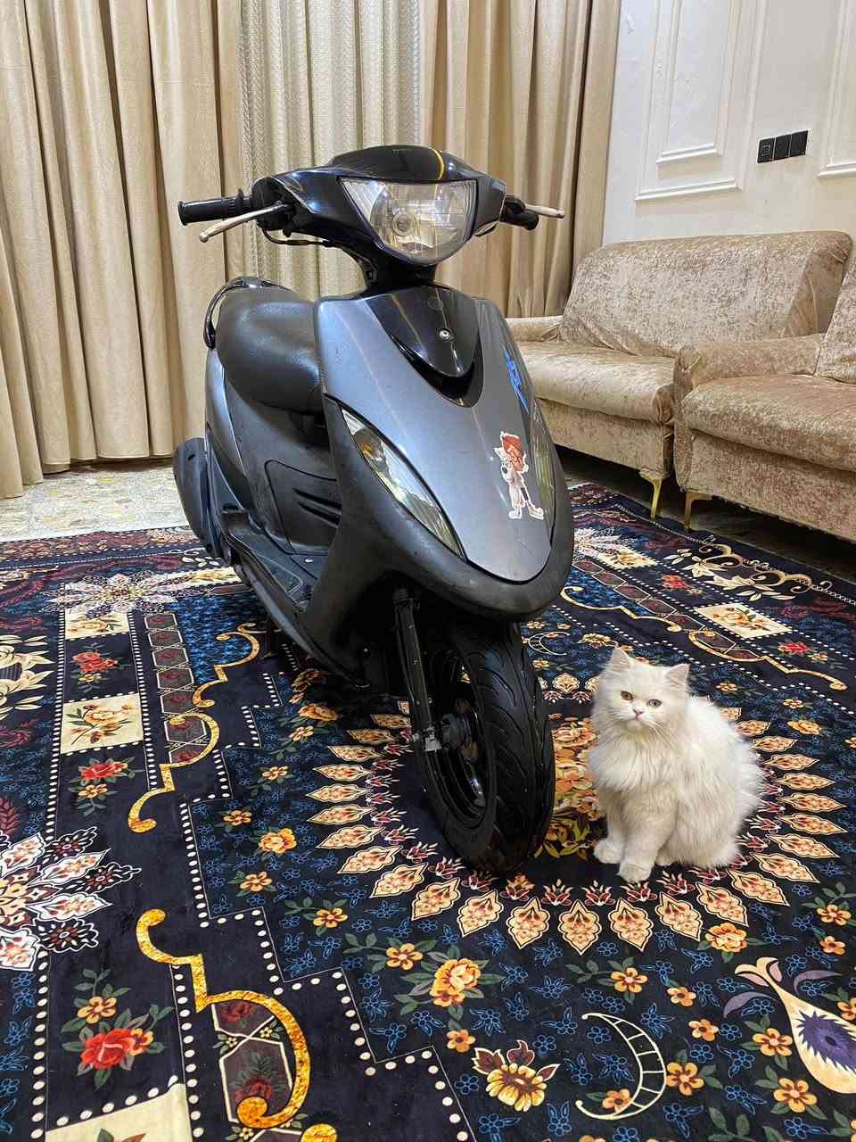 السلام عليكم ماكس عدله مكفوله كفاله عامه رمبه مكان مدينه الصدر رقم الهاتف ***********
