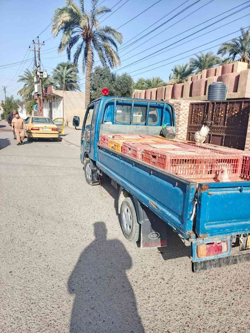 السلام عليكم كيف انتيره للبيع رقم انبار السياره باسمنا محرك ببخار قليل شاصي نظيف جير نظيف تخوم تاير كهربائيات شغاله السياره ما بيها ضربه سياره خير من الله كل نقص ما بيها العنوان بغداد موديل 98 سياره كامله مكمله العنوان بغداد المدائن السعر 50 ورقه سياره باسمنا تحويل مباشر *********** ***********
