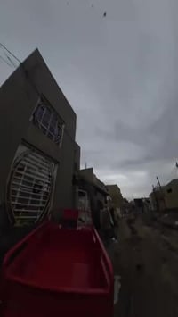 ستوته • كفالة عامة • وكيل نور الباشا