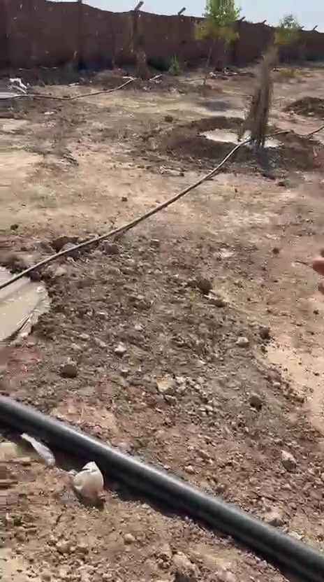 السلام عليكم تم تاجهيز. النخيل بعدت.. الصناف. وتجهيز. منظومات. الري الحديثه.٠.٠***********😘 ***********
