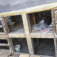 قفص ٤ خانات • قفل ميكانيكي • شغل مضبوط