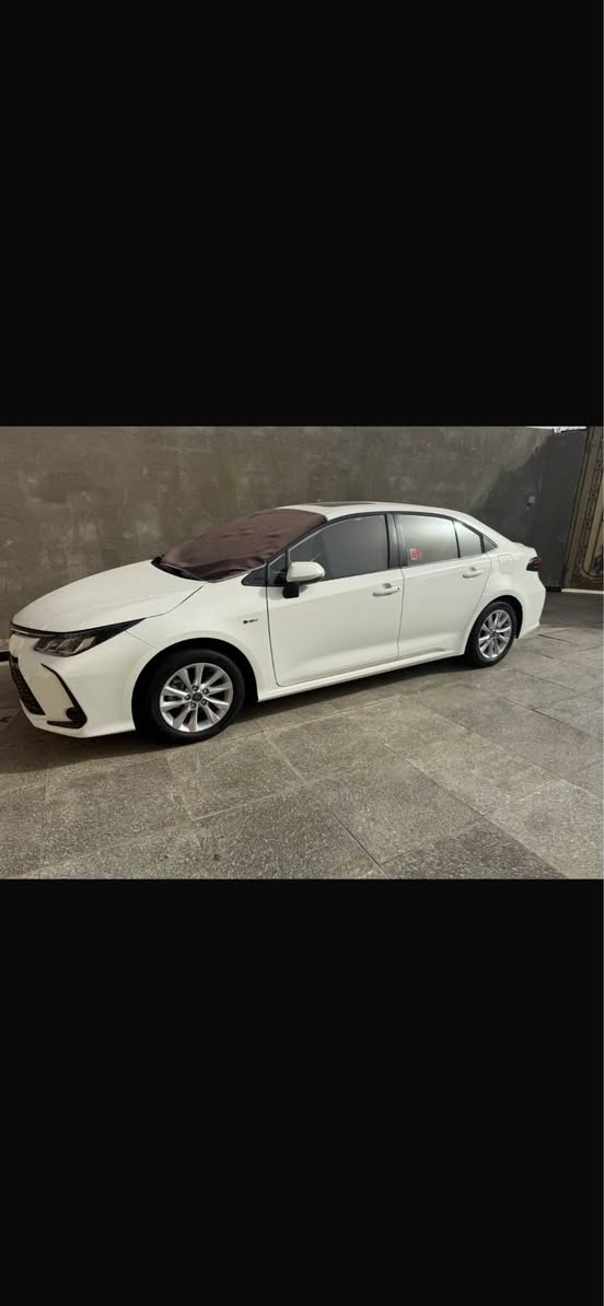 2025 كورلا ماشيه 7000 اخت الزيرو سعرها 160 
بسمي السياره بصره أربيل, العراق


**إذا كنت صاحب هذا الإعلان وتريد حذفه لأي سبب، رجاءا أرسل رسالة إلى الدعم الفني**