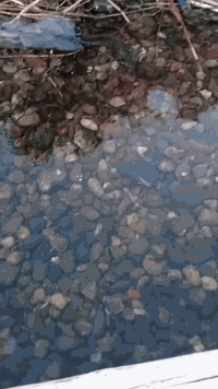 سلام عليكم مكينه 15سازوكي ابيع مفتوحه السازوكي ... ومارنر 15والمارنر مامفتوحه وجناكو 2وحده فافون 7متر وحده فايبر 8متر السعر مليون وسبع مئه وخمسون 1750وبيهن مجال للشراي *********** اتصال وتساب وخط
