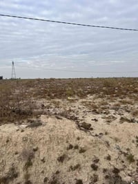 ارض زراعيه للبيع  مساحه 4 دونم  وجه 25 متر  نزال 400  تبعد عن الشارع ا...