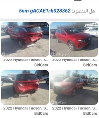 توسان • ٢٠٢٢ • وارد أمريكي