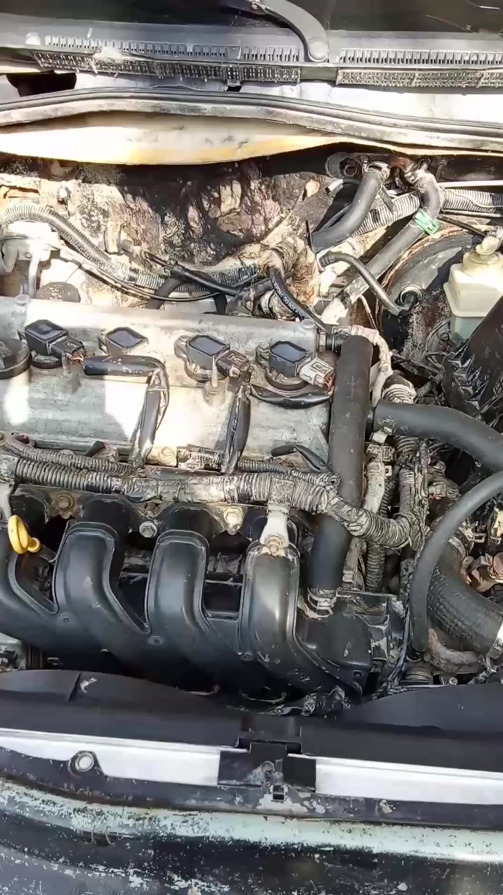 السلام عليكم
من رخصت الادمن
شيري كوين موديل 2010 محور مكينه وكير يارس مكفولات رقم بابل انكليزي مشروع وطني باي مكان تحول كهربائيات كلها شغاله مصفره هيئه لشهر الرابع مطلوبه غرامه 400 الف للبيع او المراوس  السعر 25 ورقه وبيها مجال الغرامه تنزل من السعر مع تحياتي 
مكاني بغداد وراعيها يمي تريد تحويل تريد وكاله اني حاضر


**إذا كنت صاحب هذا الإعلان وتريد حذفه لأي سبب، رجاءا أرسل رسالة إلى الدعم الفني**