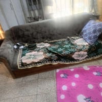 تخم قنفات • قنفة • كراسي • اثاث • اثاث منزلي • صاج