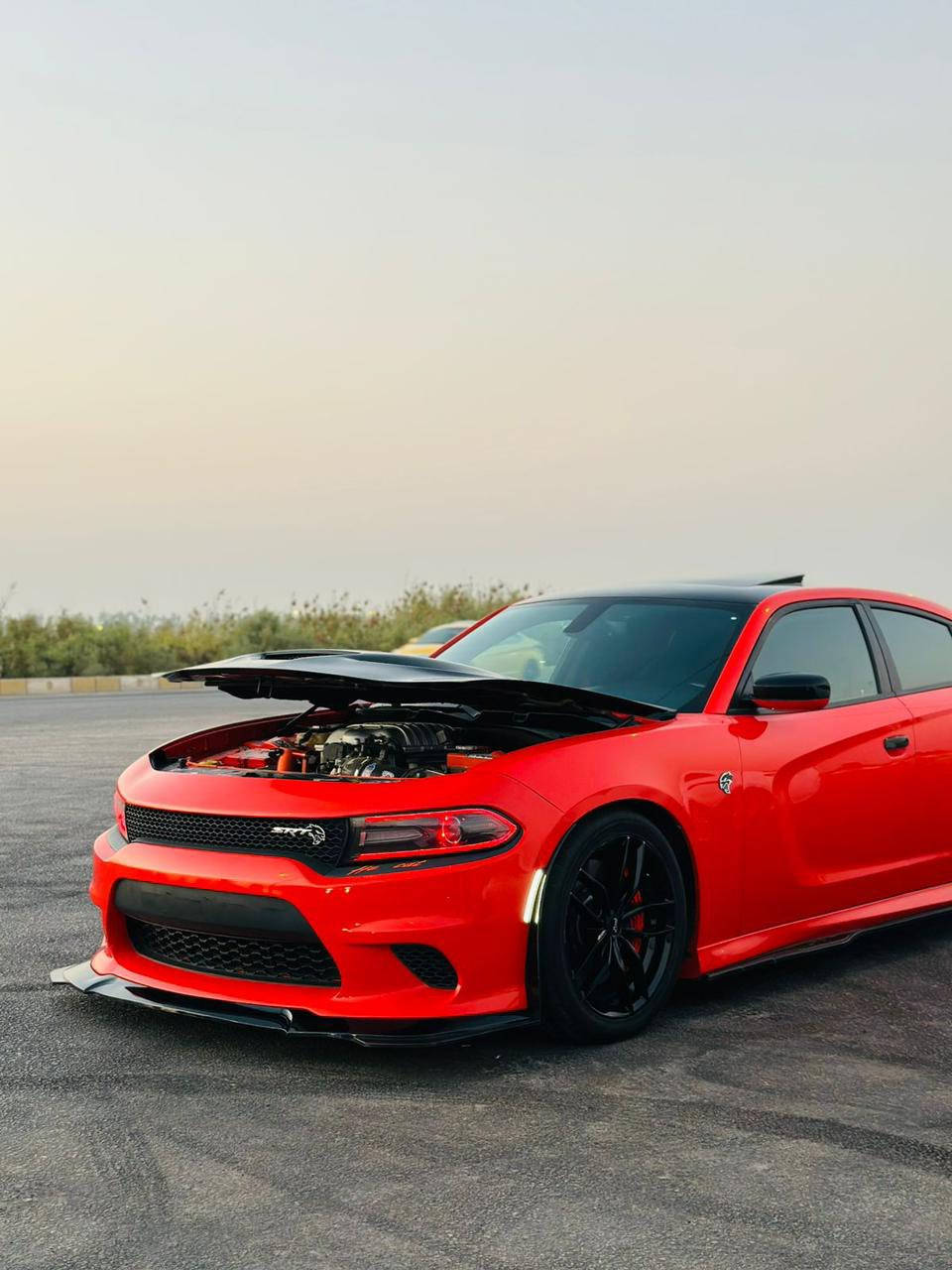 هيلكات موديل ١٦ حادثها جاملغ وبنيد وهنا بالعراق صار بيها جاملغ خلفي السياره ماشيه ٣٧ مايل
السياره فول عده الرادار 
فول هوائيات ميثانول
شوته afe
عليها بساتم ريد اي 
كاج كان
بولي مبدل 
السياره عليها برمجه استخدام يومي
***********
السعر 240 وبيها مجال
