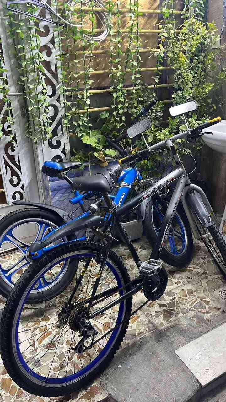 بايسكلات 2 للبيع سعر الواحد 75 مابيهن اي ضرر بغداد, العراق


**إذا كنت صاحب هذا الإعلان وتريد حذفه لأي سبب، رجاءا أرسل رسالة إلى الدعم الفني**