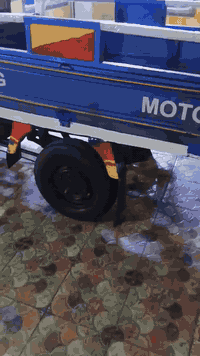 ستوتة • موديل 19 • بلحمزة الغربي