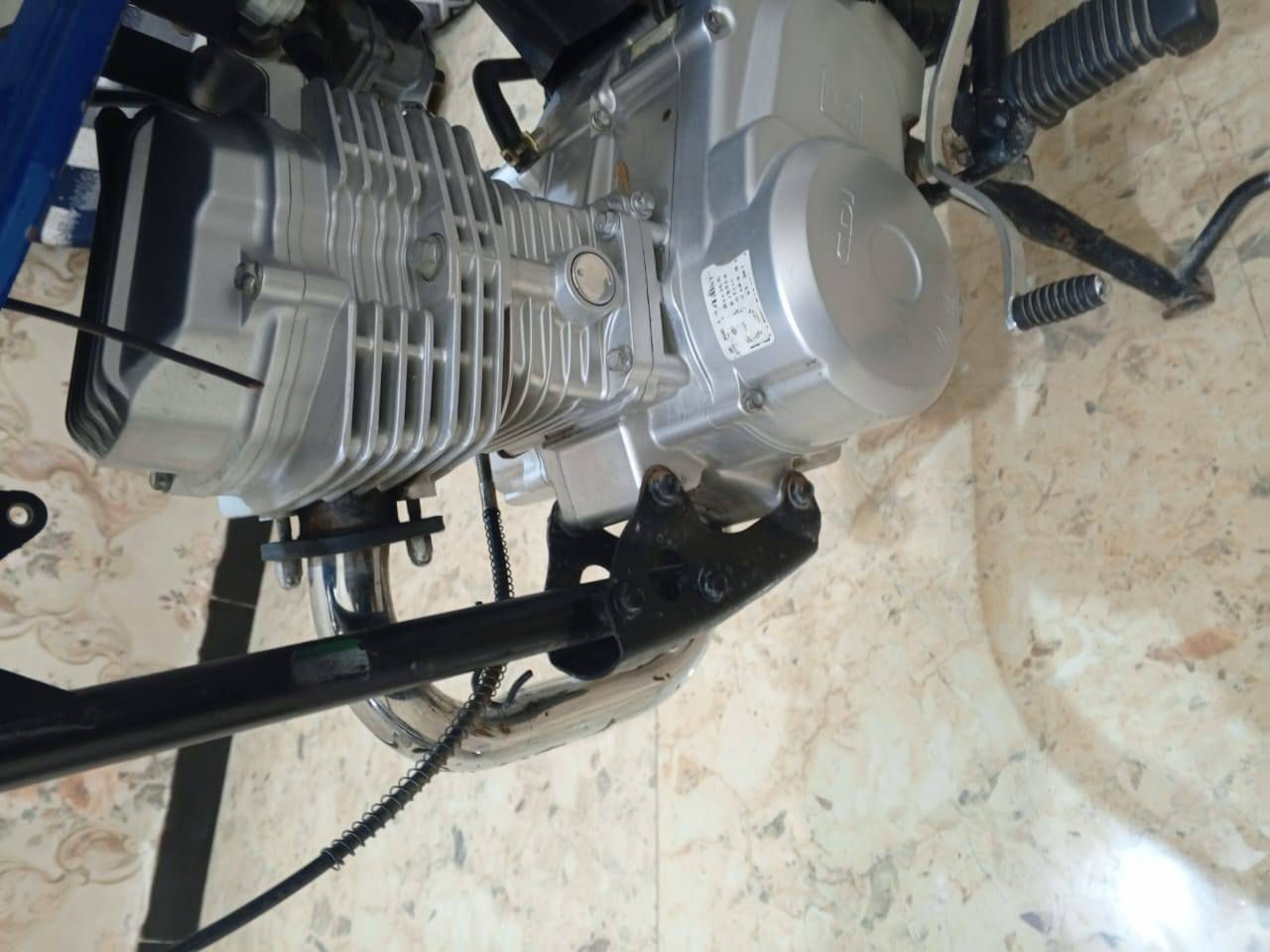 شاصي 18 اصولي والتعميره كلها 26 السعر 700 وبيها مجال عنواني الشطره


**إذا كنت صاحب هذا الإعلان وتريد حذفه لأي سبب، رجاءا أرسل رسالة إلى الدعم الفني**