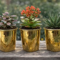 سنادين فرفوري • ذهبي • ٣ قطع