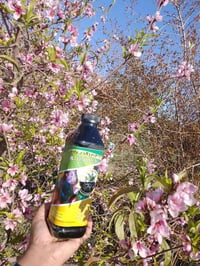 سماد خلطة النور السائلة الخلطة المتكاملة اللي تخلي الزرع يفور ويخضر بس...