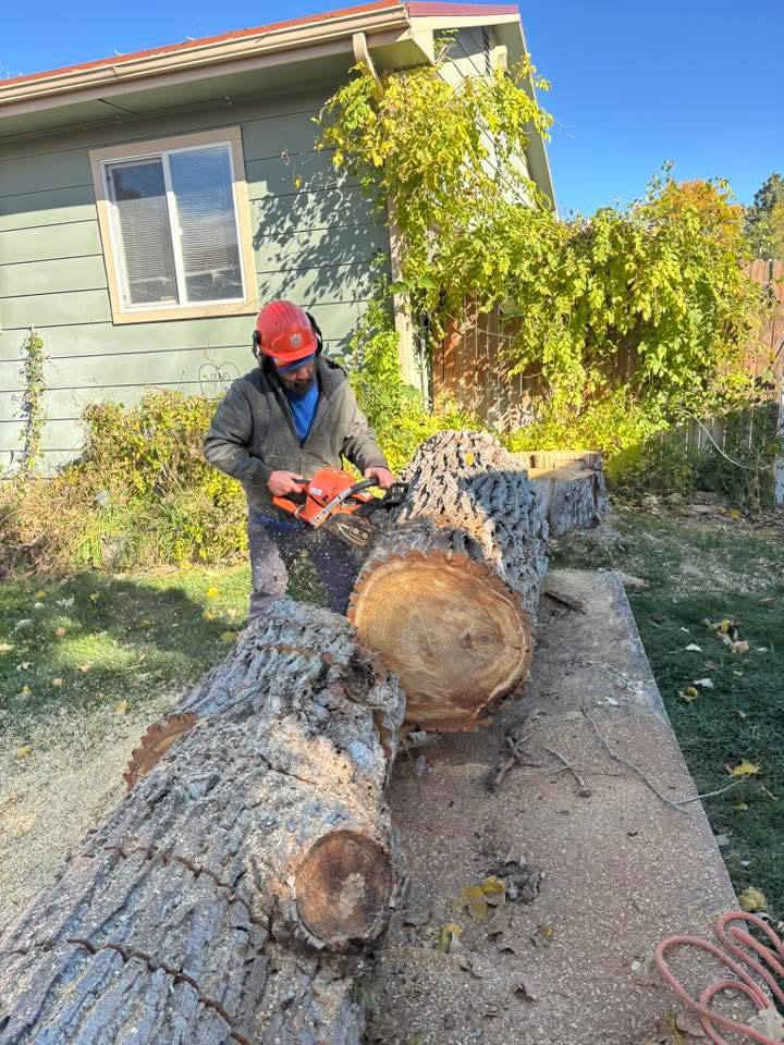 اتصل بنا قلع النخل والأشجار 
***********
***********
