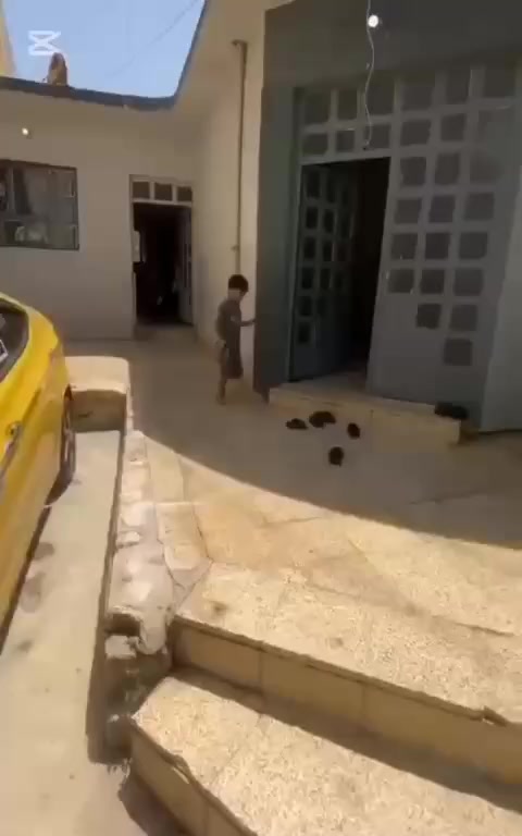 بيع مستعجل مستعجل 🔴🔴
عقار للبيع موقع مميز تجاري 🔴🔴🔴
حي الزيتون بنفس فرع اسواق ابو علي قريب ع سايدين دهوك 
خدمات كامله تبليط كهرباء ماء 
مساحة العقار ١٥٠ متر واجهه ٧ ونص سند ٢٥ غرفتين نوم استقبال هول صحيات كراج واسع ترك واسع
البيت فارغ حالياً 

السعر 43  وبي مجال بحساب ارض يصلح للايجار ويصلح محلات🔴

***********
***********
