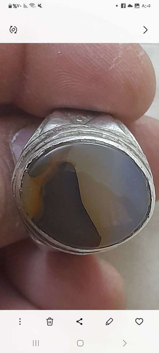 السلام عليكم ورحمة الله وبركاته وكل عام وانتم بألف خير وتقبل الله طاعاتكم السعرعالخاص العنوان النجف الكوفة (محبسين خط الاستاذ ولي ومحبس خط طاهري قديم ومحبس دلو ملاكط ومحبس جزع بقري داير ذهب والباقيات يمانيات مصوره)


**إذا كنت صاحب هذا الإعلان وتريد حذفه لأي سبب، رجاءا أرسل رسالة إلى الدعم الفني**