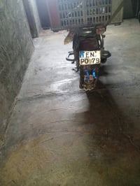 دراجه هارلي 2 ولف للبيع 300. وبي مجال 07891168616