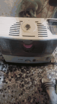 للبيع اثنينهن ب ١٠٠ مكان بغداد حي الكوفه مقابل ام الكبر الغزلان

***********
