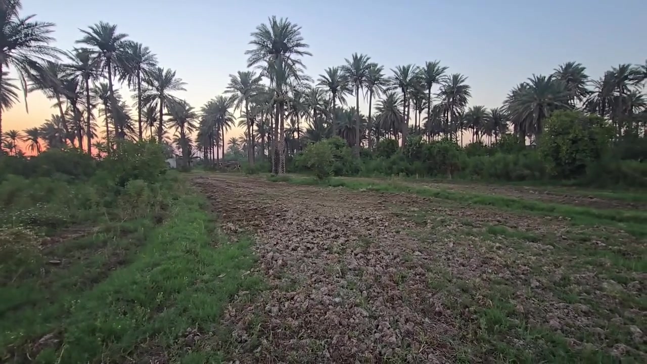 شاطيه بمساحه 1320 +بستان بمساحه 3861+ارض زراعيه بمساحه 22دونم كلهن( طابو صرف للبيع )
عنوان العقارات : واسط قضاء الزبيديه (قريه ام سنيم في ارض كريم العبدلله الدليمي)
تفاصيل اكثر داخل المنشور او للأستفسار اكثر اتصل علئ الارقام التاليه او مراجعه مكتب العايد للعقار 
عنوان المكتب : واسط قضاء الزبيديه _حي السلام
***********منتظر
***********منتظر
