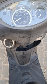 ماكس ثعلب نوزل رمبه العنوان الحريه 07779919082