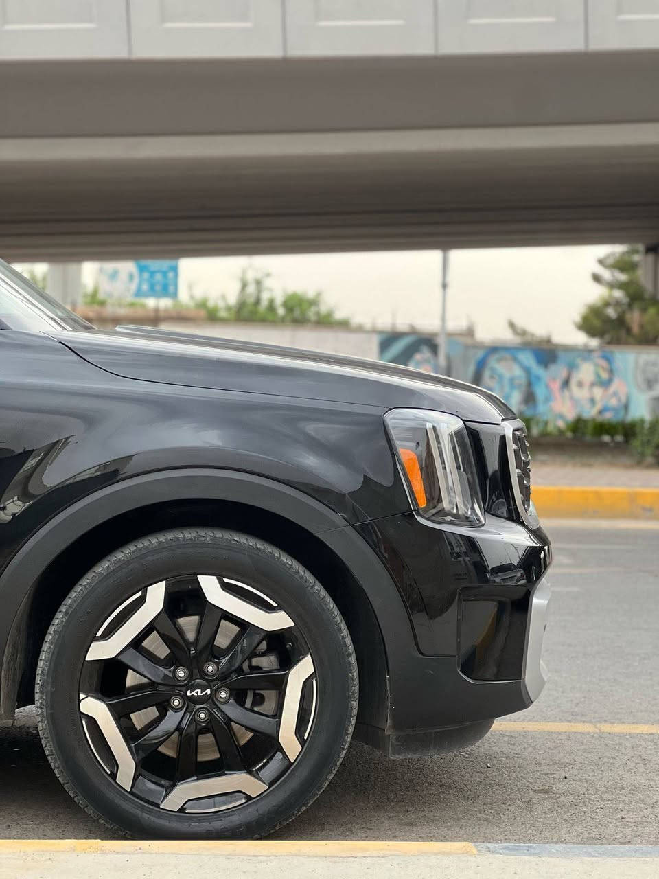 كيا تولورايد 2023
فول مواصفات عدا الكامرات ٣٦٠
كشنات جلد vlp
عداد سرعه دجتل
خمس مودات قياده 
تدفئه بل كشنات
اوتو هولد
رادارات ٣٦٠ تفاعلي
وماصفات معروفه
حادثها فقط لايت السايق مدفوع
وائرباك الستيرن مرجع سستم
السعر 316 وبيها مجال بسيط
للاستفسار ***********اراوس اب شي اقل منها او ناصي وينطي فرق
