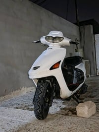 فراشه فحل • سلف • معدل فول