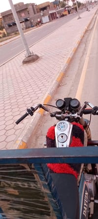 ستوته • معمره • ٢٠١٣