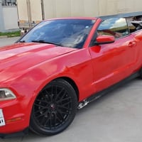 موستانغ • مصبوغ • أربيل