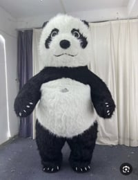 مقاس ٤٠ • حجم كبير