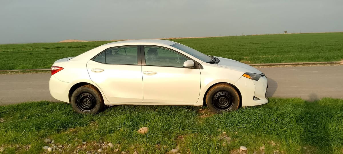 كورلا 17 كندي ابيض صدفي رقم اربيل جديد هزه وسنوية بدون صبغ بدون تبديل فقط بارد  مكانات بسيطة جدا بدون ايرباكات و شواصي كوبون بانزين بي رادار و حجر بيئة شاشة تحكم  تبريد بيانو  مثبت سرعة تحديد مسار  موجود محرك وكير بالشرط مامفتوح بدون  مكان كركوك سعر 145 
***********
