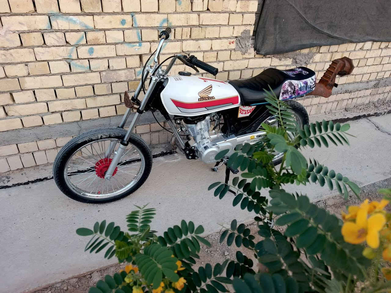 دراجه للبيع فقط 
شاصيه١٧ اوراق سكنر حته لادوخني ولدوخك 

تعمره ٢٥ تبديله ثانيه اله دراجه كله جديده واصلي 

سعره ٦٧٥ وبيه شي بصيط كلش💵
 
  فقط شراي  يدشلي خاص 

مكاني دوانيه *********** 

👋
