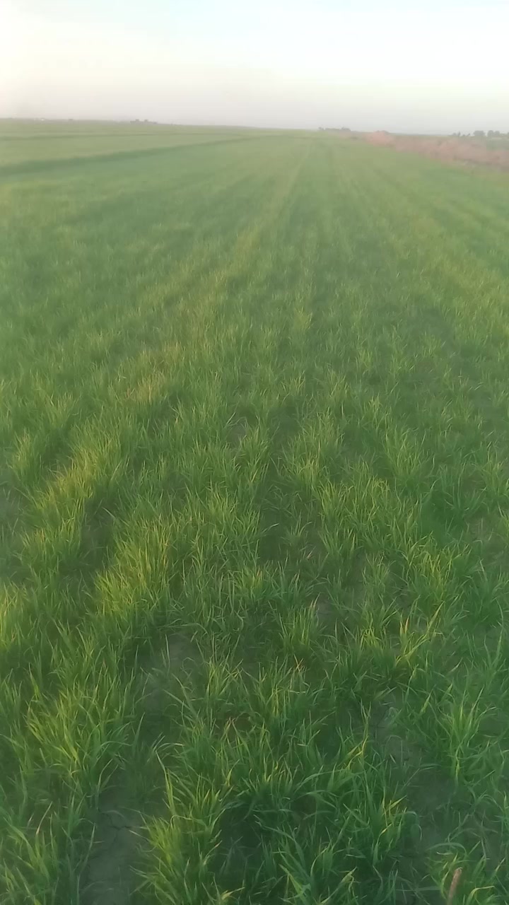 السلام عليكم أرض للبيع طابو صرف للبيع ٥٠دونم تبعد عن نعمانيه حوالي ١٠ كيلو بيها ماء وكهرباء ترهم حقول شارع تبليط بسدرها هذا رقم ***********
