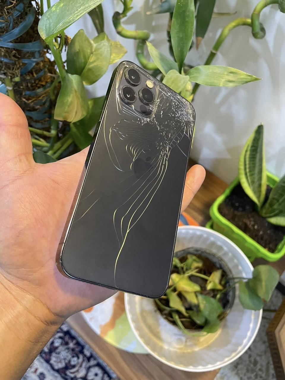 ليدور مناسب يمي وبس
لا دولار ولا ملايين ملك النطايح اني 

ركزلي بلمنشور غير الذاكرهنً ماكو 

12 برو مبدل شاشه وبطاريه

تجي وتشوف بعيينك شاشه بيها فطر صغير مناثر ولا مبين 

فيس ايدي شغال سماعات اتصال مكفول كلشي شغال 

وسعره بلاش ذاكرته 256 بطاريته 100 

ليش تشتشري ب 350 ولا 290 ولا 250 

سعره 215 الف قفل قفل 

ضهر مكسور وتصوير موجود ليفيده يجي ياخذه 

215 الف بغداد الدوره 

كفر وي جهاز فقط ***********

لريده يتصل وتساب
