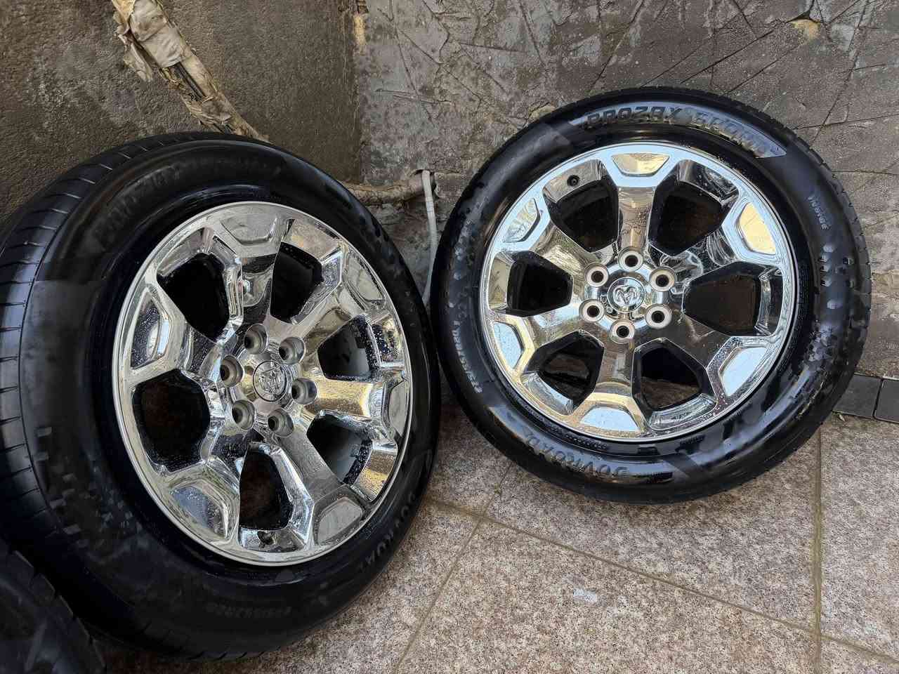 ويل رام الاصلي البلادي 💯 لا زلغ لا فطر لا صبغ وتواير جديدات الاصليات 💯للبيع
***********
