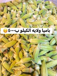 باميا ولاية • عرض يوم واحد • توصيل