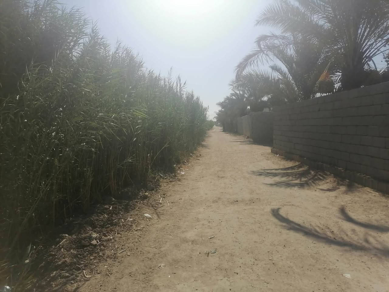 دونم للبيع فرع المصلخ تبعد عن الشارع 300متر عن السوك 5دقايق بيه كافه الخدمات عقد زراعي 117اتصل وادلل ***********
