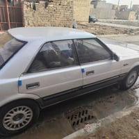 هارتوب • مكفولة • مصبوغة جمالية