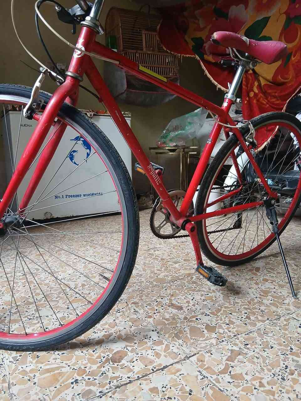 سلام عليكم شباب باسكل للبيع c700مكان بغداد مدينة الصدر ***********هاذ رقمي باسكل نضيف بس جملغ مابي
