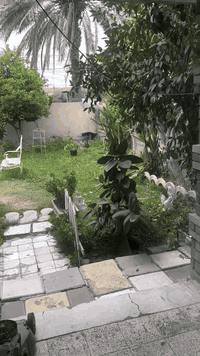 السلام عليكم يوجد بيت  في حي الخضراء
للايجار فارغ غرفتين وحمام 1 وصالة ومطبخ وحديقة كبيرة وكراج يتسع سيارتين
للاستفسار ***********
